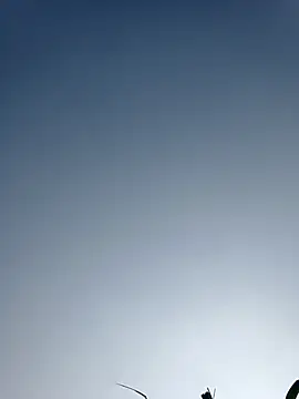 Menu x online show from 01-13-26, 08:07