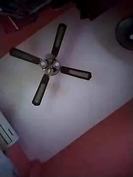 Danii2005 online show from 10-30-25, 01:42