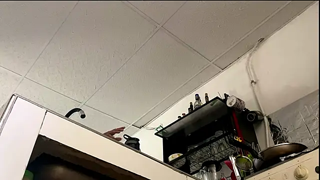 Abby Evanns1 online show from 01-08-26, 02:34