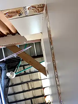 Abby Evanns1 online show from 01-14-26, 01:37