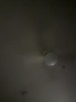 Snapshot of D13ON3L chatting on 11-08-25, 08:07 D13ON3L online show from 11-08-25, 08:07