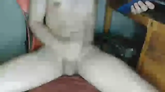DevilDgrim online show from 05-25-26, 01:16