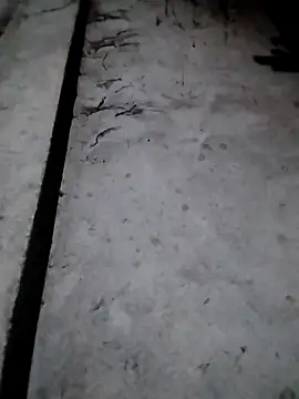 rickkis2k online show from 12-17-25, 09:42