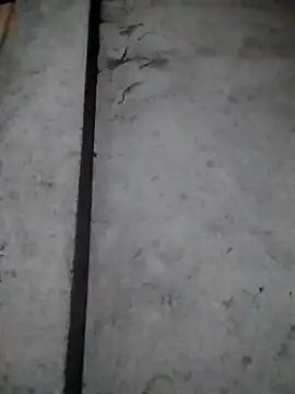 rickkis2k online show from 12-16-25, 10:14