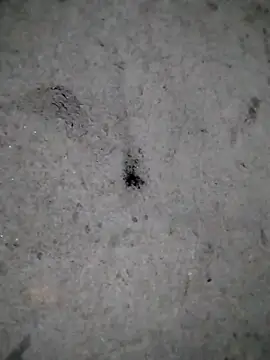 rickkis2k online show from 12-21-25, 11:05