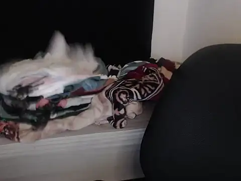 Negritatata online show from 11-28-25, 11:10