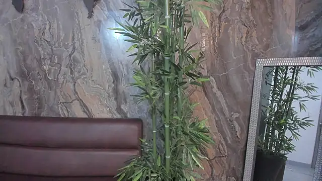 Snapshot of sydney_miller_ chatting on 11-13-25, 11:30 sydney miller online show from 11-13-25, 11:30