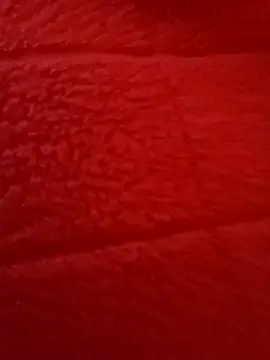 kendra666 online show from 10-27-25, 06:20