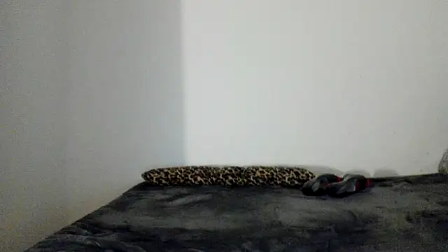 Blueskynicci online show from 11-13-25, 06:56