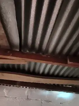 Catalina Bairon online show from 11-27-25, 06:08