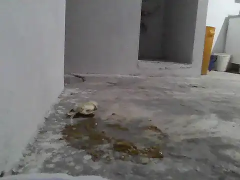 jupiter 333 online show from 01-08-26, 07:25