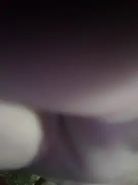 Morbosnif online show from 11-02-25, 06:29