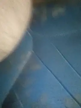 Morbosnif online show from 11-04-25, 02:37