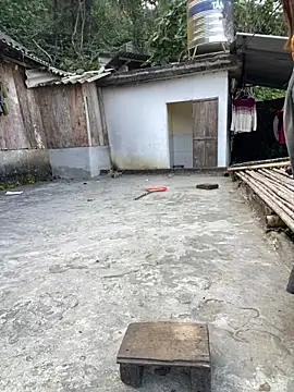 nachi-baby online show from 12-15-25, 08:42