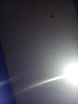 HSexy Men00 online show from 11-26-25, 08:58