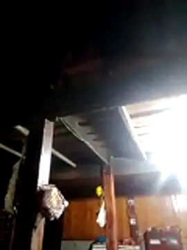 TRIEUTRIEU20 online show from 03-22-26, 10:44