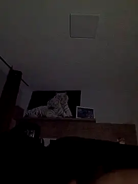 ursosvp online show from 11-24-25, 03:17