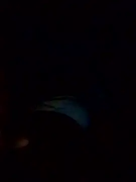 Poonam12A online show from 02-06-26, 07:54