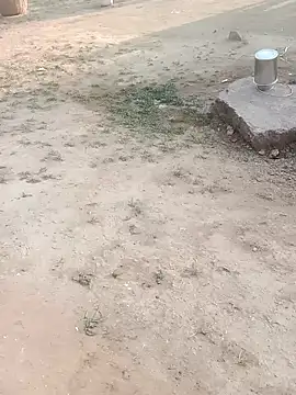 Babita ranni online show from 11-11-25, 01:50