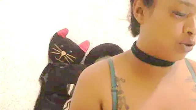 DOVE85 online show from 12-14-25, 08:20