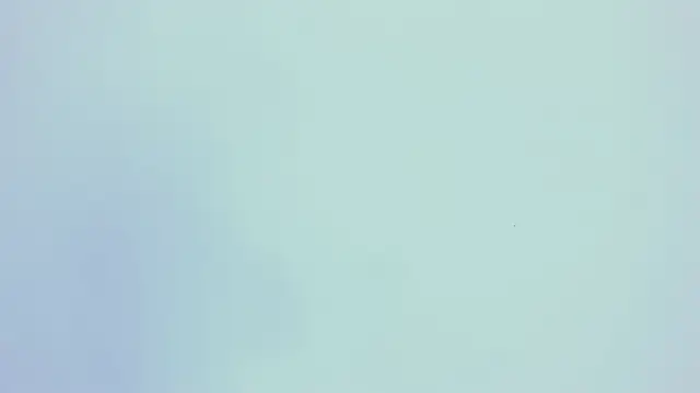 PariisTaylor online show from 10-29-25, 07:46