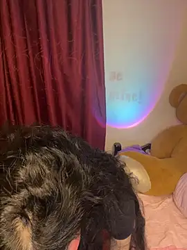 wetbyAlice online show from 02-20-26, 12:51