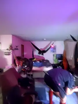 Fuckboyguyman online show from 03-24-26, 08:36