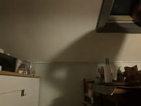 davi73d online show from 12-14-25, 03:02