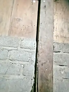 Noelle-e online show from 02-22-26, 11:23