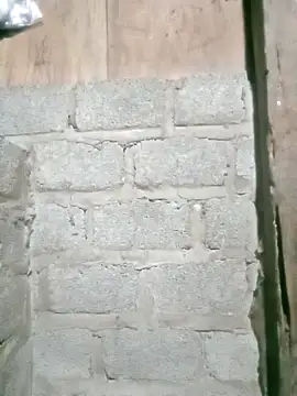 Noelle-e online show from 04-12-26, 12:08