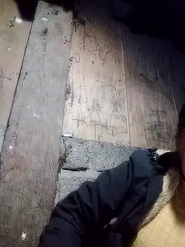 Noelle-e online show from 01-09-26, 12:12