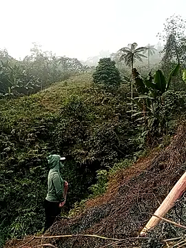 Snapshot of Phoena-a chatting on 03-21-26, 01:18 Phoena-a online show from 03-21-26, 01:18