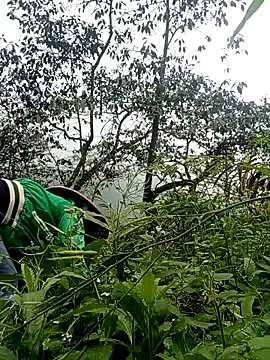 Snapshot of Phoena-a chatting on 03-24-26, 02:22 Phoena-a online show from 03-24-26, 02:22