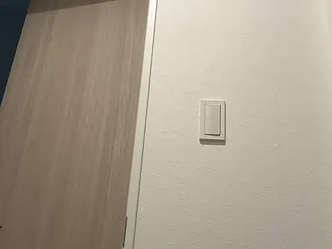 miku pipipi online show from 11-09-25, 12:14