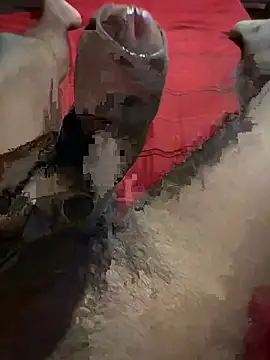 vijay20k online show from 03-03-26, 08:16