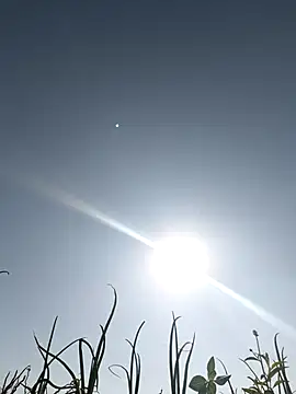 devil boy 0909 online show from 03-05-26, 03:47