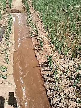 devil boy 0909 online show from 03-18-26, 06:05