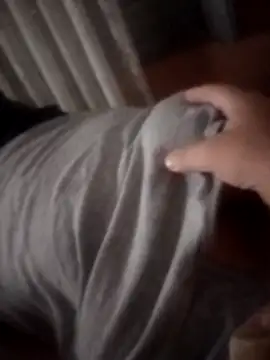 Snapshot of pampa4456 chatting on 11-23-25, 05:39 pampa4456 online show from 11-23-25, 05:39