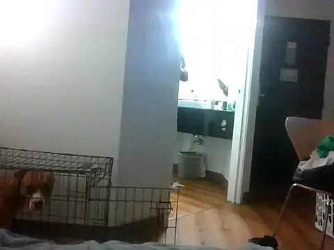 Snapshot of TheRealKnottiHead chatting on 10-27-25, 11:22 TheRealKnottiHead online show from 10-27-25, 11:22