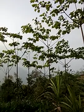 doggy-00 online show from 03-20-26, 10:05