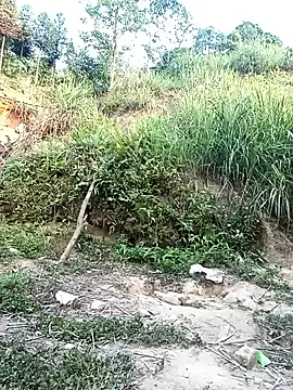 doggy-00 online show from 05-17-26, 10:48