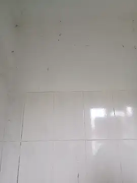 bella-la online show from 02-12-26, 12:54