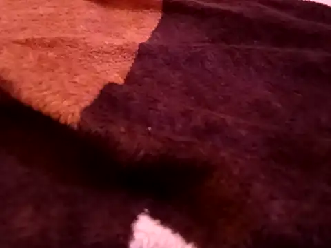 bigtelugubhama online show from 02-07-26, 08:28