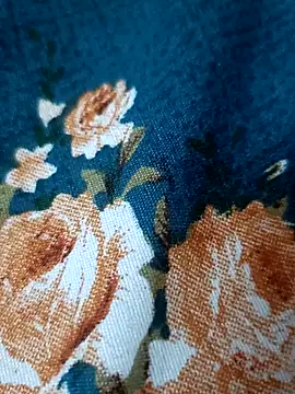 bigtelugubhama online show from 02-17-26, 07:11