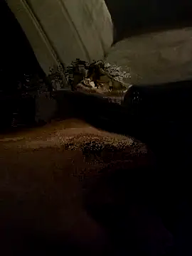 centro6891 online show from 10-31-25, 11:22