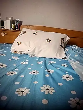 BD 228 online show from 04-09-26, 11:33