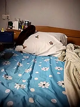 BD 228 online show from 03-10-26, 11:42