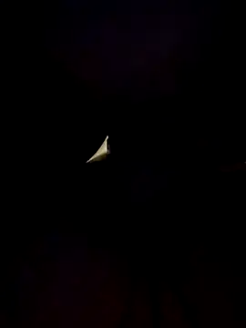 Snapshot of Cubanno chatting on 11-01-25, 05:57 Cubanno online show from 11-01-25, 05:57