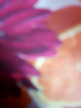 Laal Parilove online show from 11-09-25, 06:56