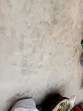 Laal Parilove online show from 11-21-25, 08:46